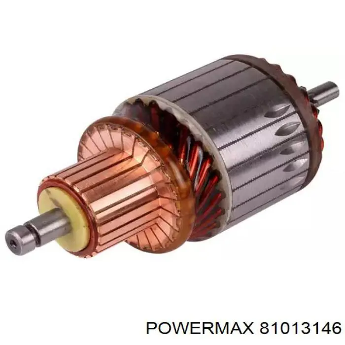 Escova do motor de arranco F032900066 Cargo