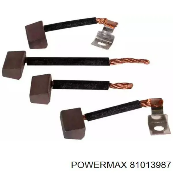 Escobilla de carbón, arrancador 81013987 Power MAX