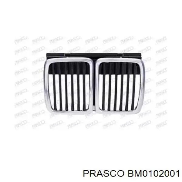 BM0102001 Prasco решетка радиатора