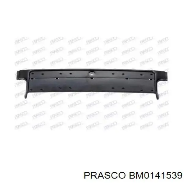 Панель крепления номерного знака переднего Prasco BM0141539