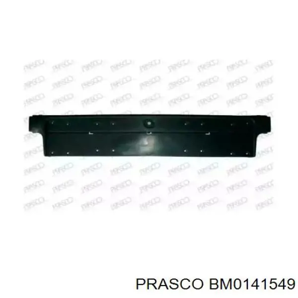 Панель крепления номерного знака переднего Prasco BM0141549