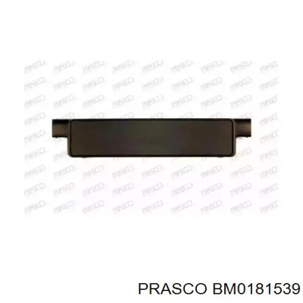 Панель крепления номерного знака переднего Prasco BM0181539