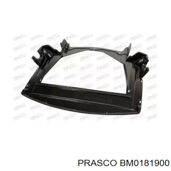  BM0181900 Prasco