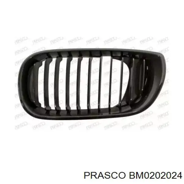 Решетка радиатора левая Prasco BM0202024