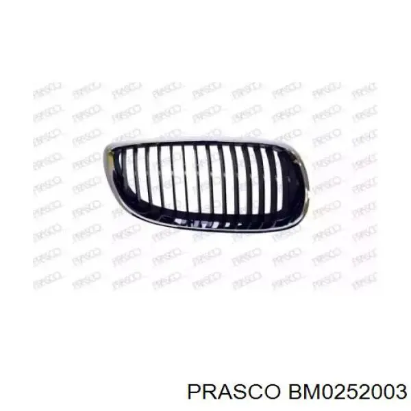 Решетка радиатора правая Prasco BM0252003