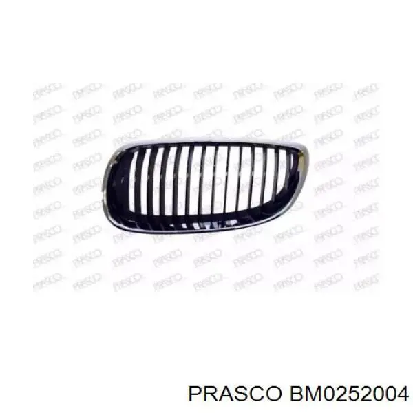 Решетка радиатора левая Prasco BM0252004