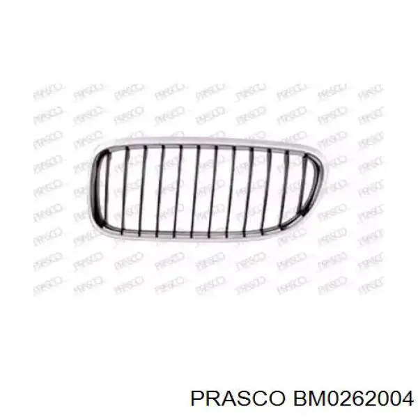 Решетка радиатора левая Prasco BM0262004