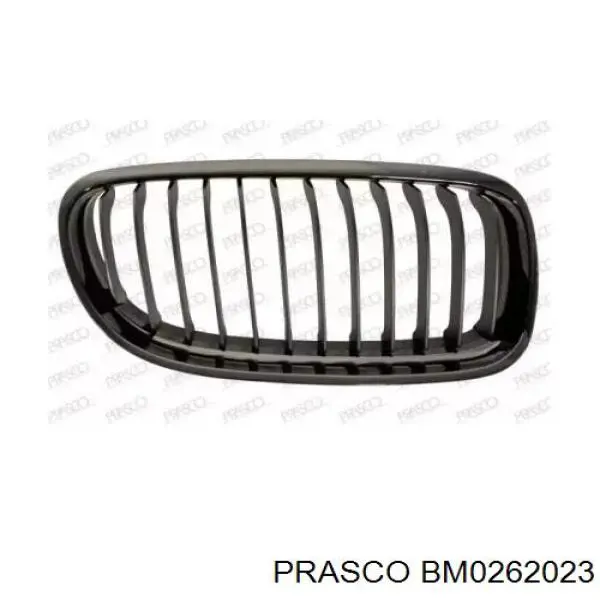 BM0262023 Prasco решетка радиатора правая