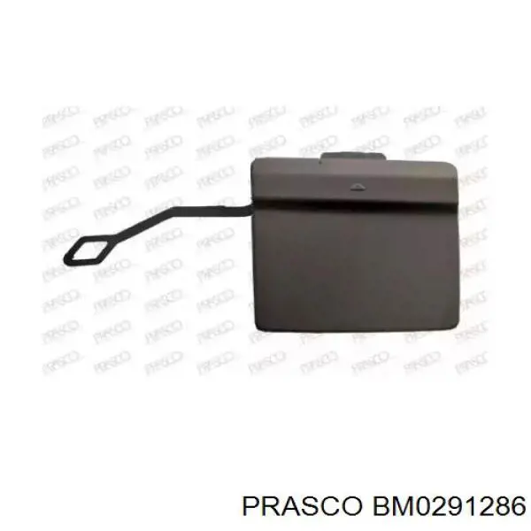BM0291286 Prasco заглушка бампера буксировочного крюка задняя
