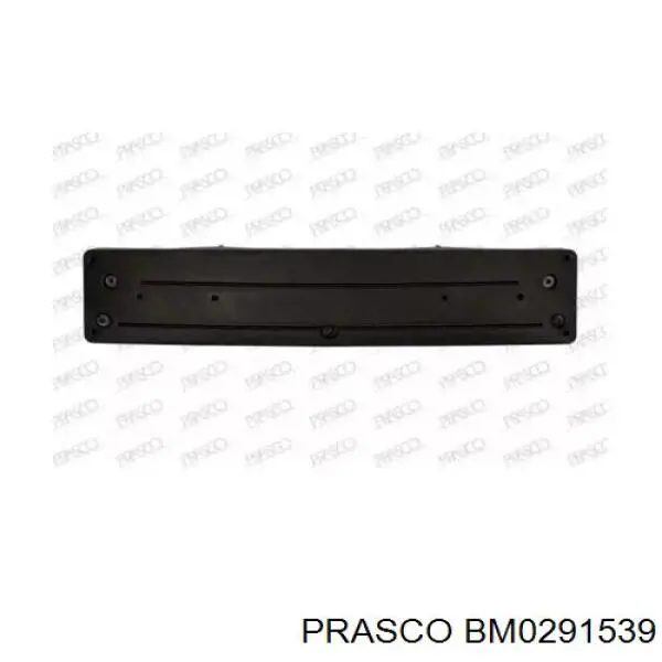 Панель крепления номерного знака переднего Prasco BM0291539