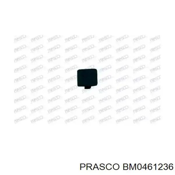 BM0461236 Prasco заглушка бампера буксировочного крюка передняя