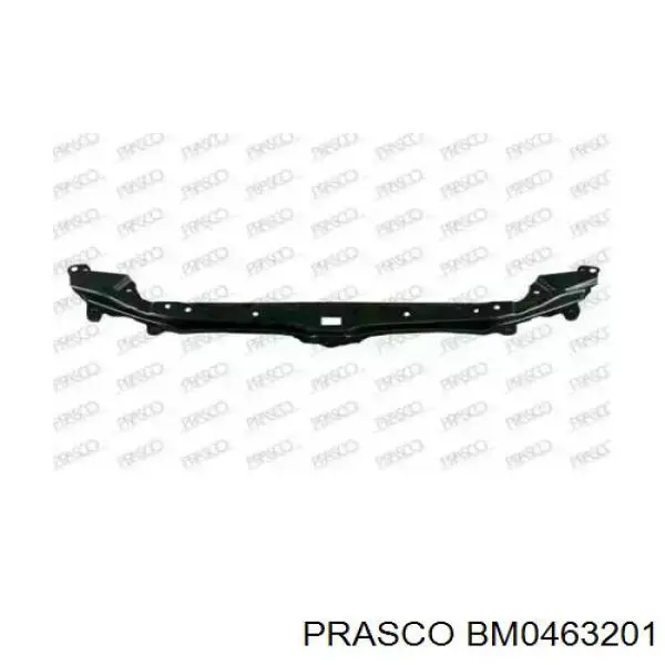 BM0463201 Prasco суппорт радиатора нижний (монтажная панель крепления фар)
