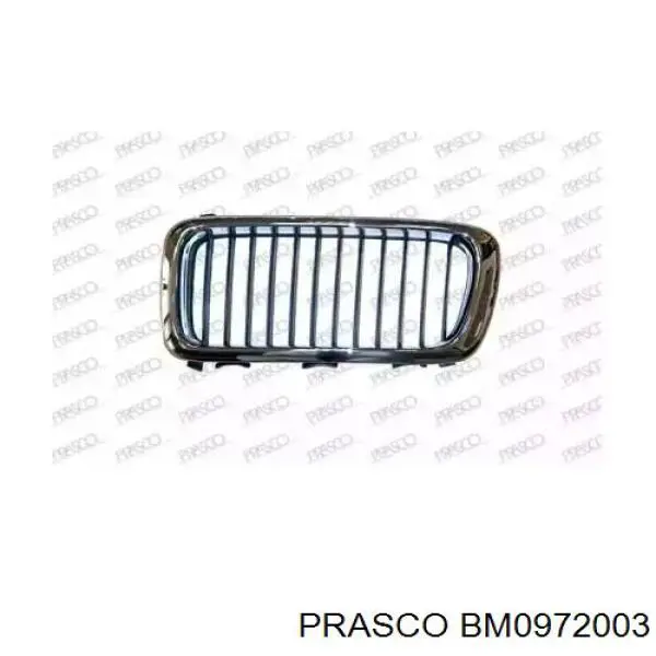 Решетка радиатора правая Prasco BM0972003