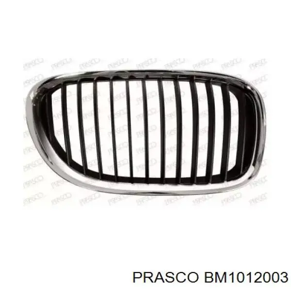 Решетка радиатора правая Prasco BM1012003