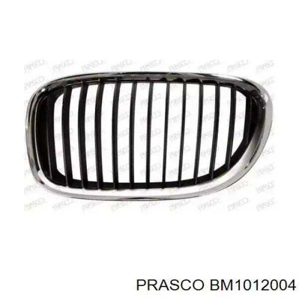 Решетка радиатора левая Prasco BM1012004