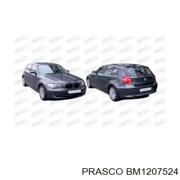Зеркальный элемент водительского зеркала BMW 51167250423 цена, от 129.20 USD