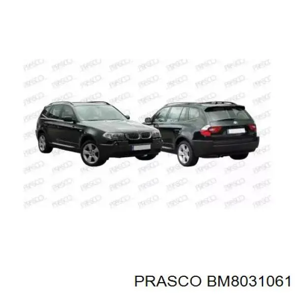 BM8031061 Prasco