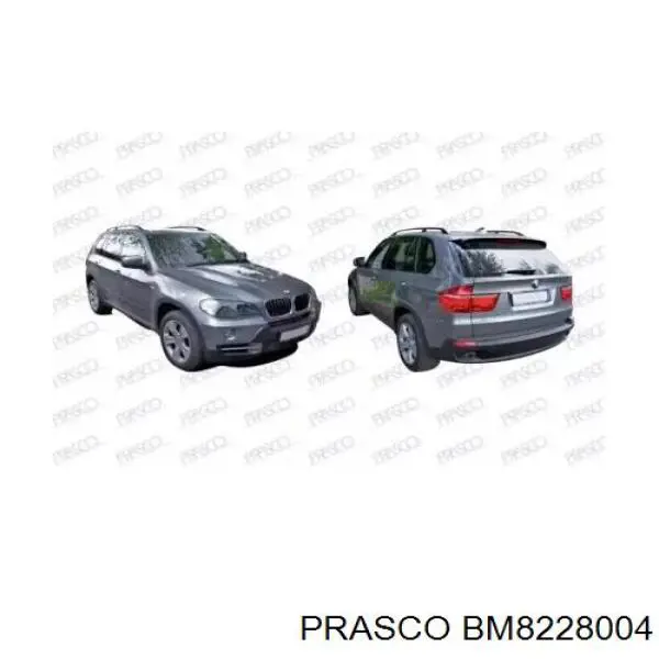 BM8228004 Prasco