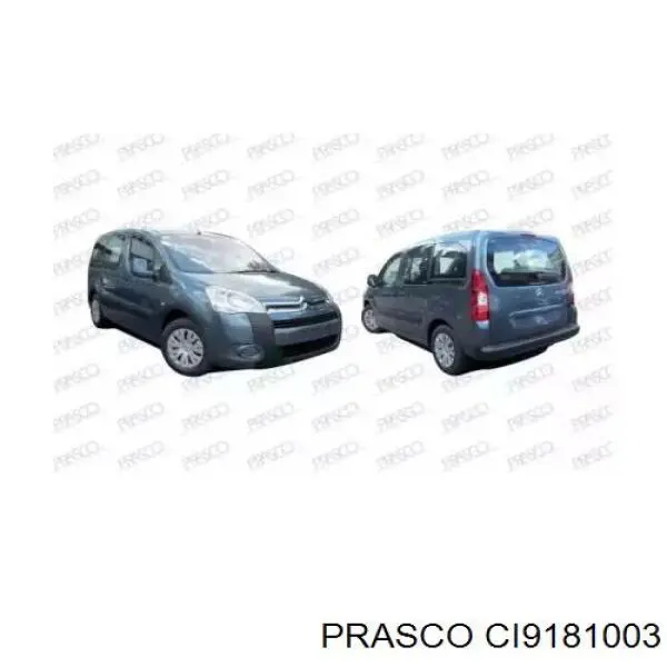 CI9181003 Prasco