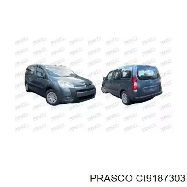 CI9187303 Prasco