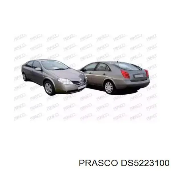 DS5223100 Prasco