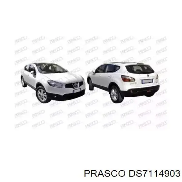 DS7114903 Prasco