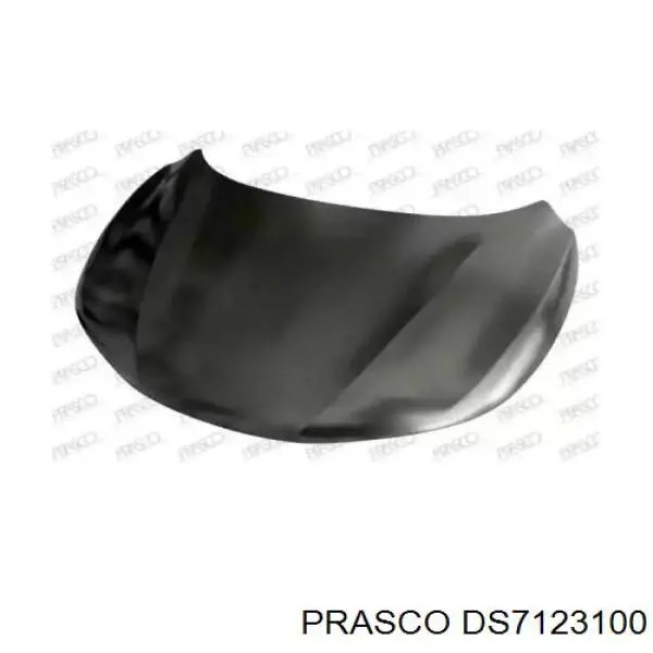 DS7123100 Prasco