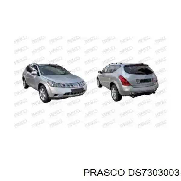 DS7303003 Prasco