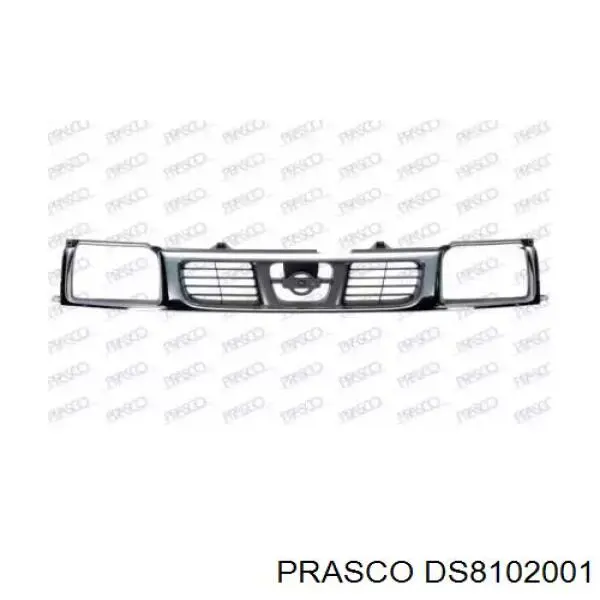 Panal de radiador DS8102001 Prasco