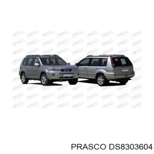 Guarda-barras direito do pára-lama dianteiro para Nissan X-Trail (T30)