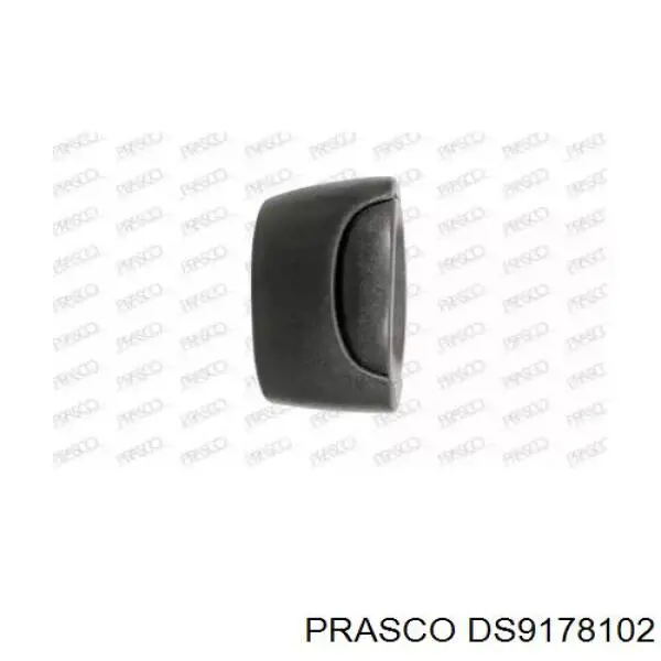 Maçaneta externa esquerda da porta traseira para Renault Kangoo (KC0)