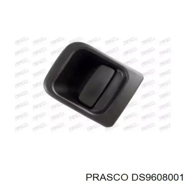 Ручка двери правой наружная передняя/задняя Prasco DS9608001