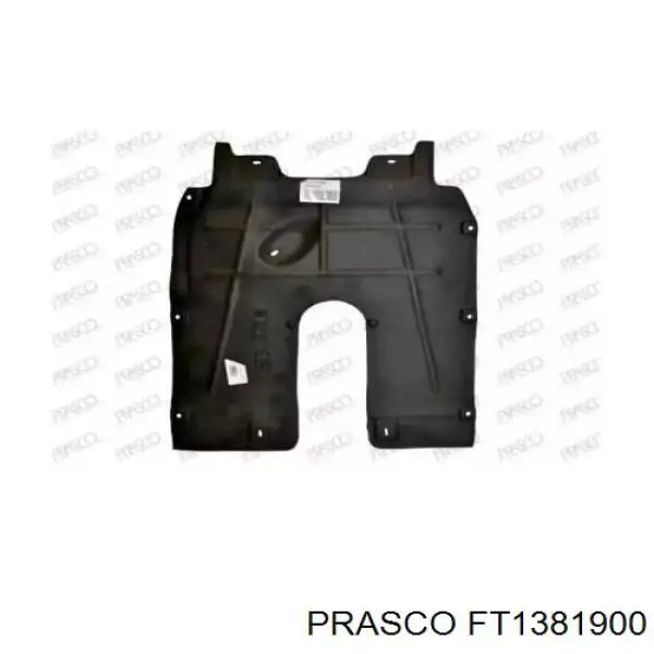  FT1381900 Prasco