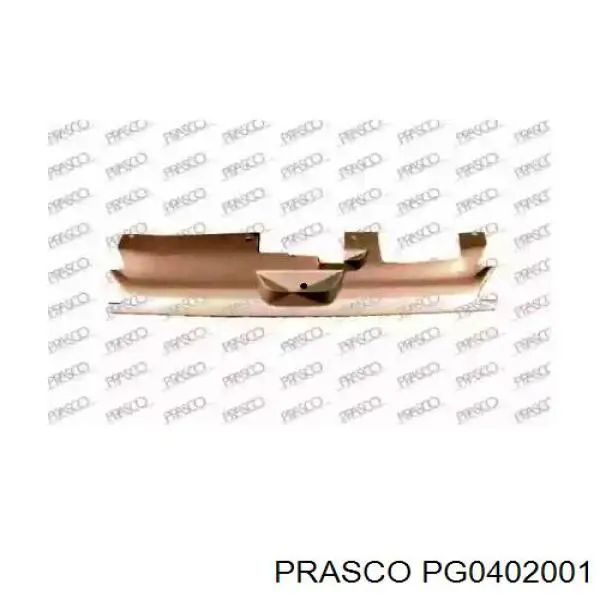 Panal de radiador PG0402001 Prasco