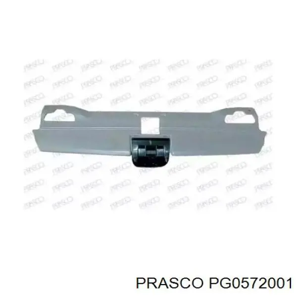 PG0572001 Prasco