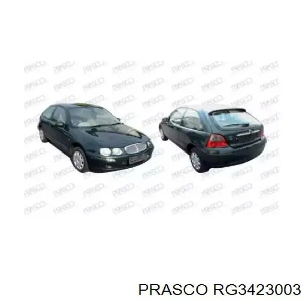 Guardabarros delantero izquierdo RG3423003 Prasco