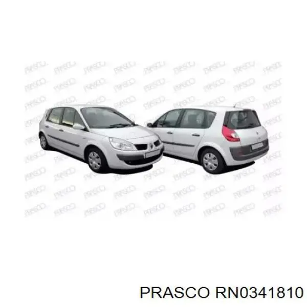 RN0341810 Prasco