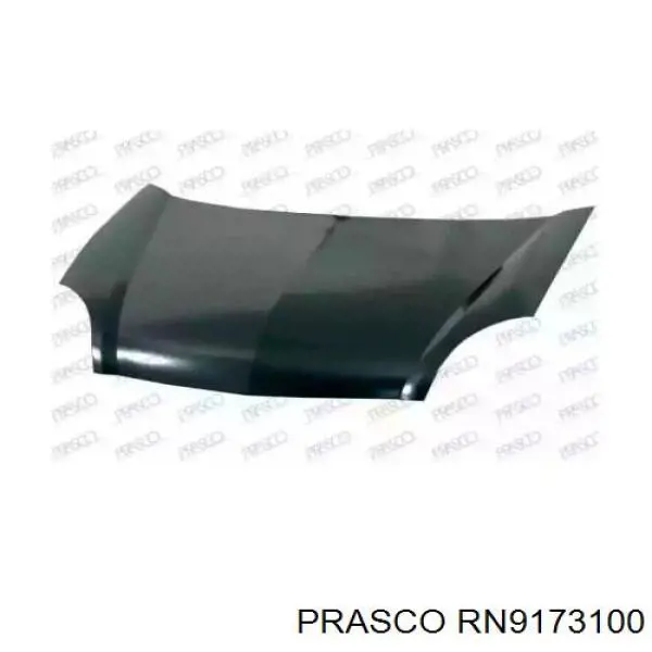 Капот RN9173100 Prasco