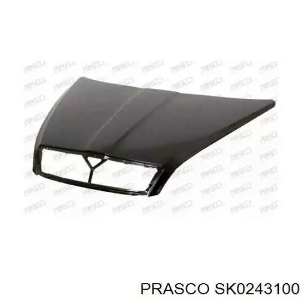 Капот SK0243100 Prasco