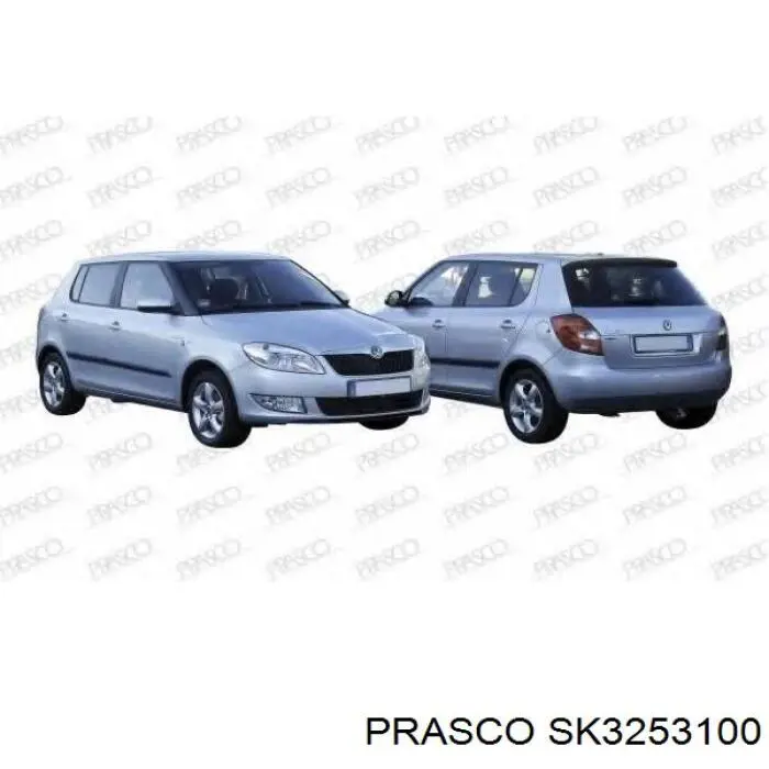 SK3253100 Prasco