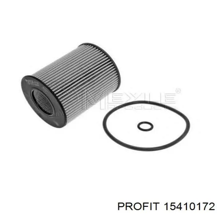 15410172 Profit Масляный фильтр двигателя