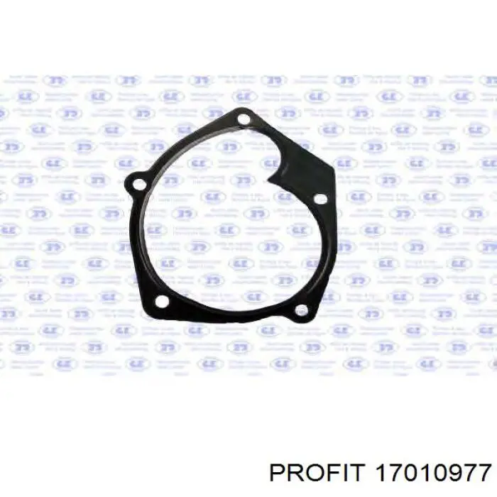 Помпа водяна, (насос) охолодження 17010977 Profit