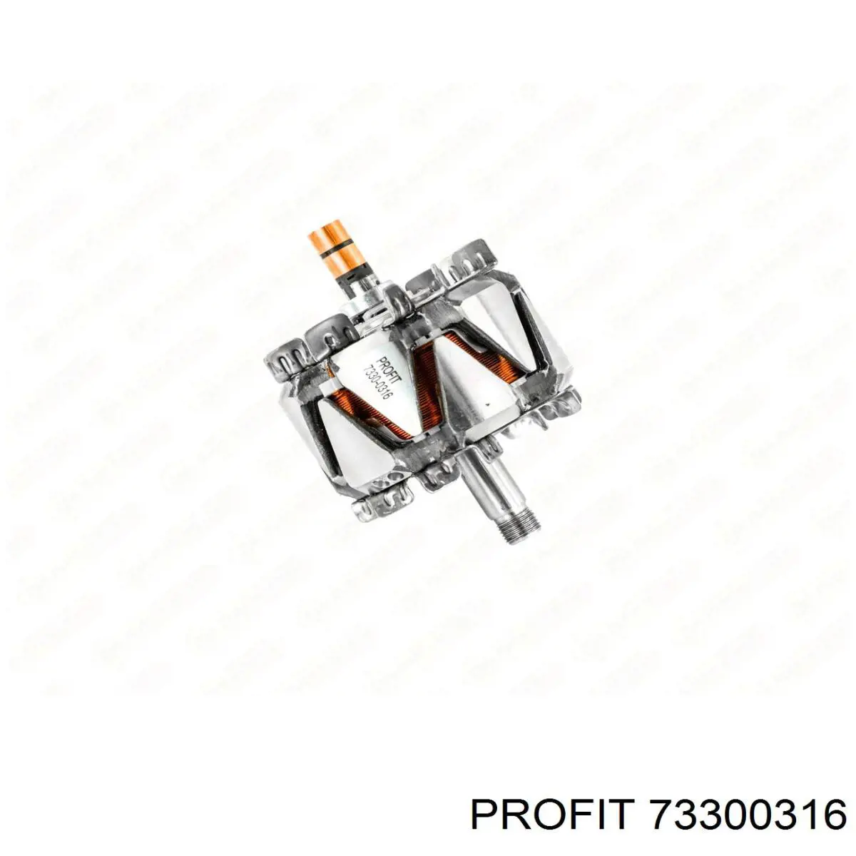 Induzido (rotor) do gerador para Peugeot Expert (VF3)