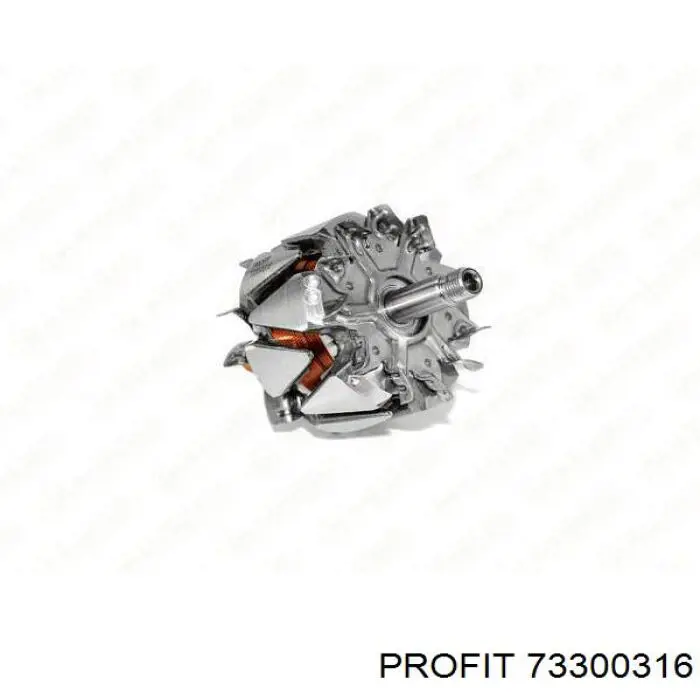 73300316 Profit Induzido (rotor) do gerador