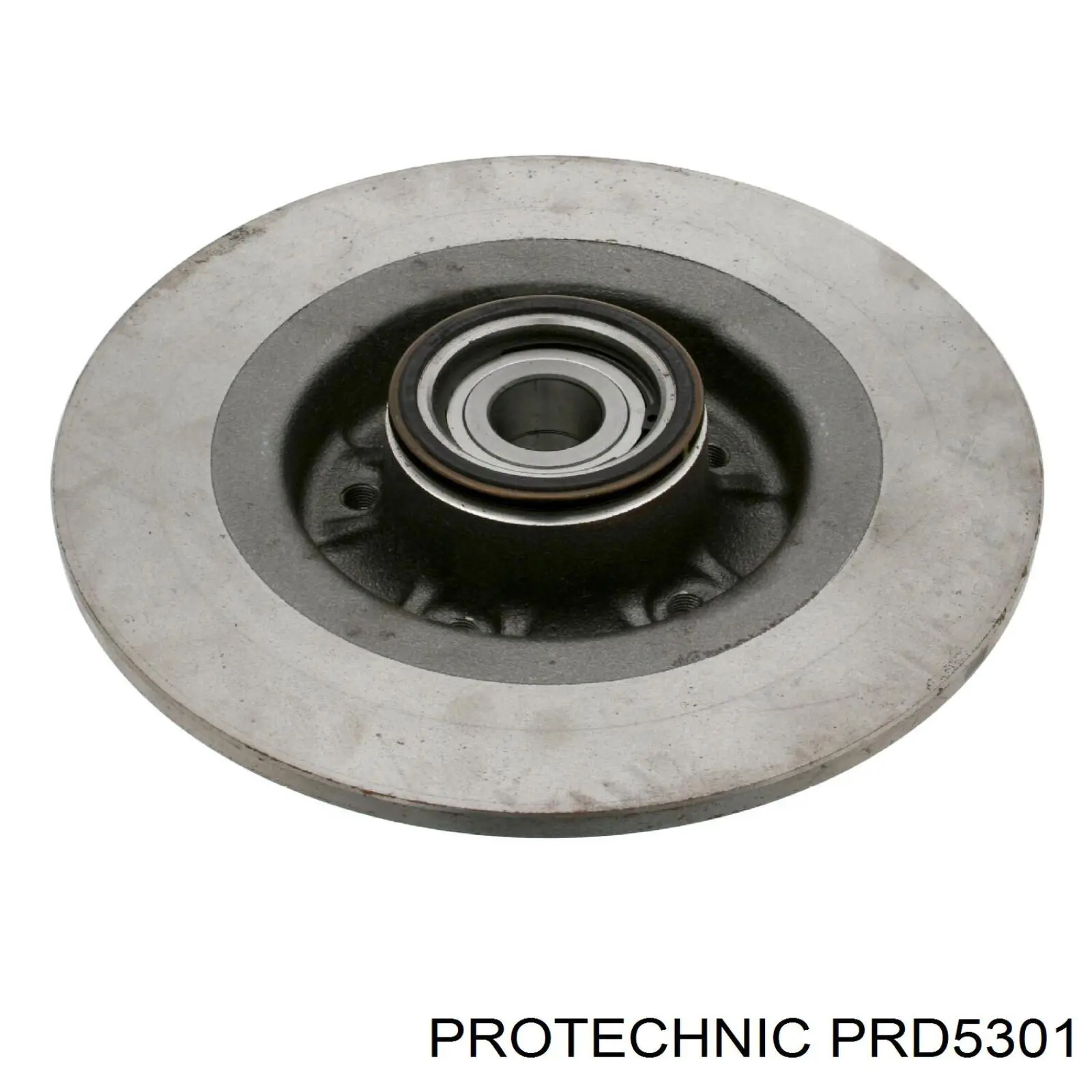 Disco de freno trasero PRD5301 Protechnic