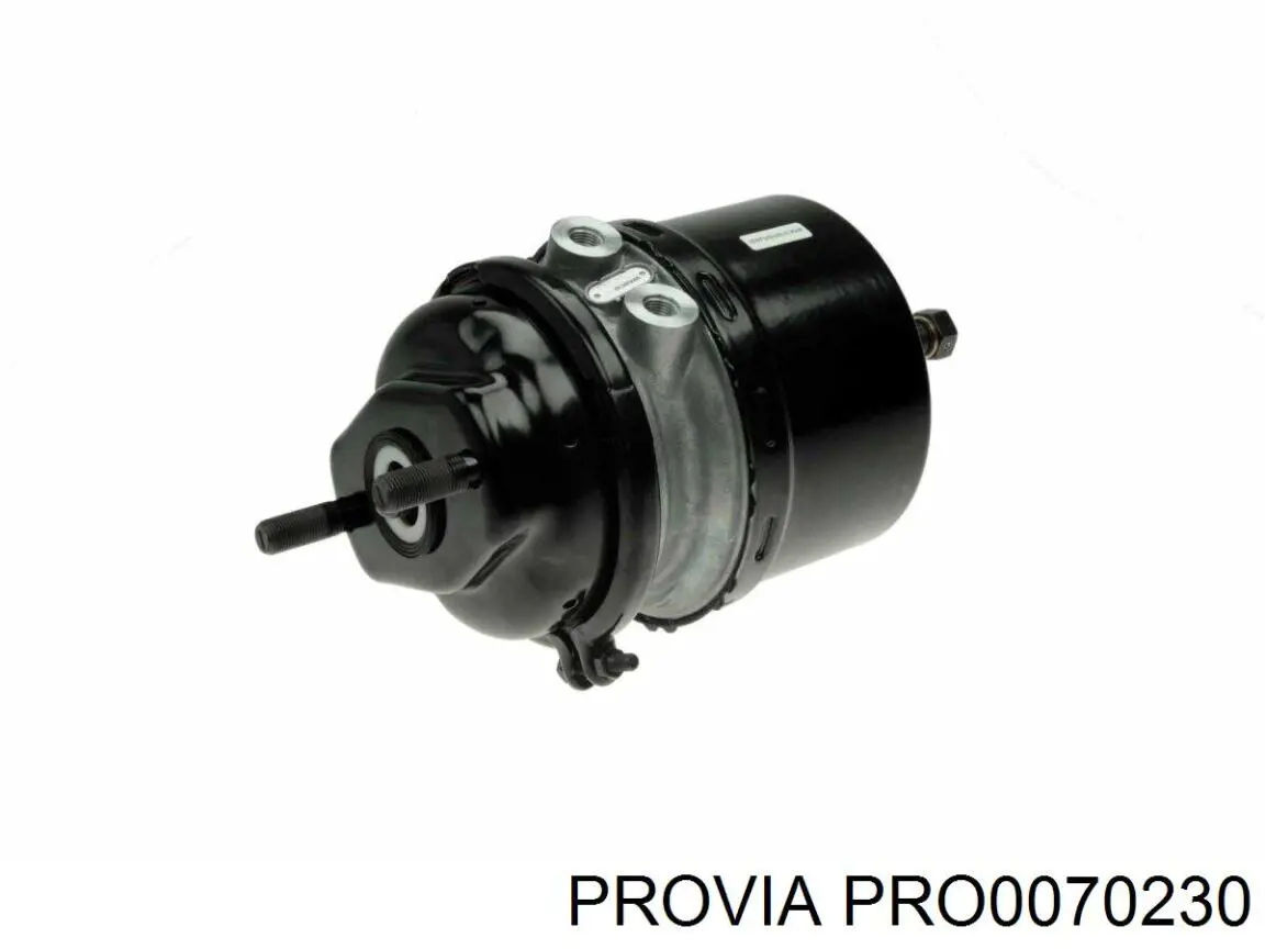 Купить PRO0070230 Provia Кран уровня пола (TRUCK)