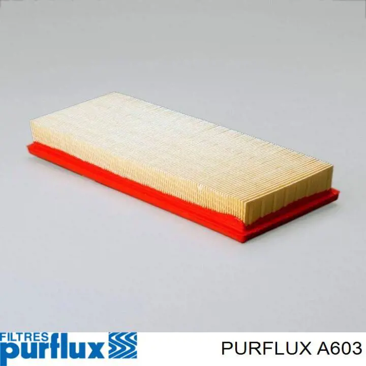 A603 Purflux