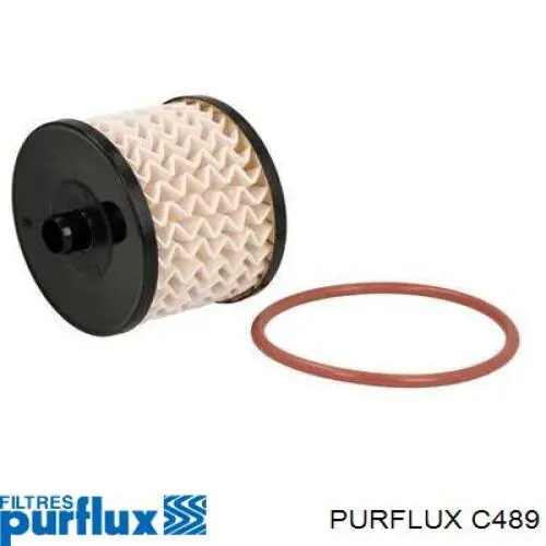 Filtro combustible C489 Purflux