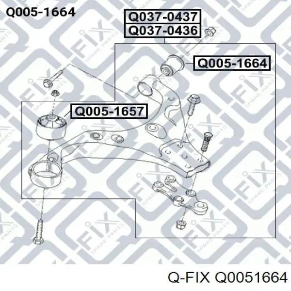 Сайлентблок переднего нижнего рычага Q0051664 Q-fix