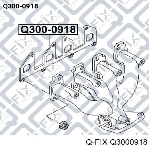 Прокладка коллектора Q3000918 Q-fix